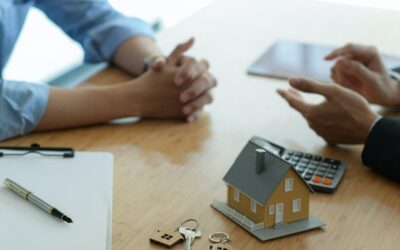 AGENTES DE SEGUROS, GUARDIANES DE LA TRANQUILIDAD FINANCIERA